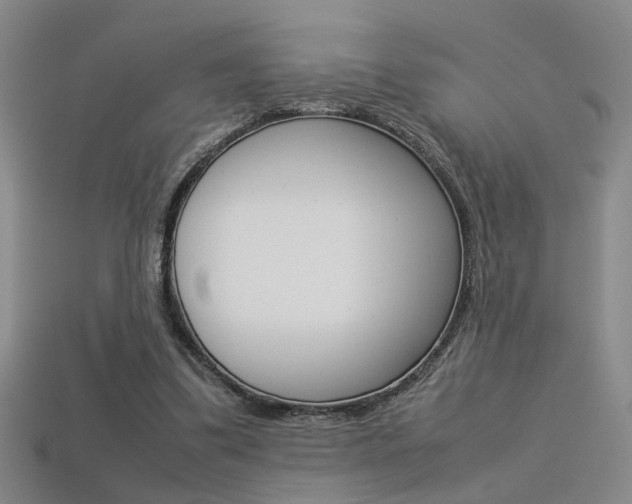 X0000113350299200909151031