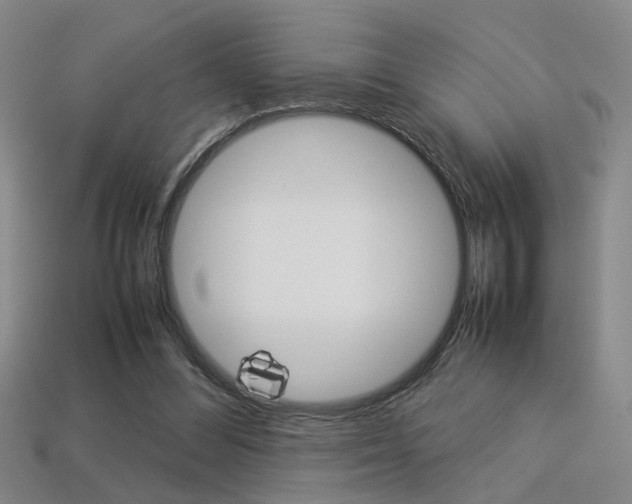 X0000113350300200909151031