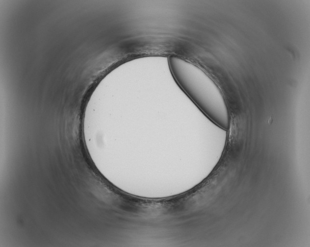 X0000113350301200909151031