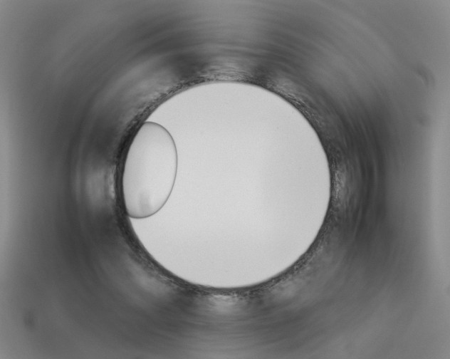 X0000113350302200909151031