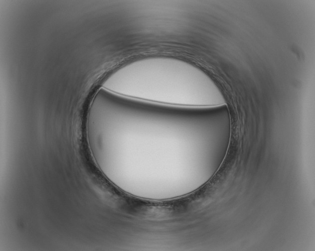 X0000113350303200909151031