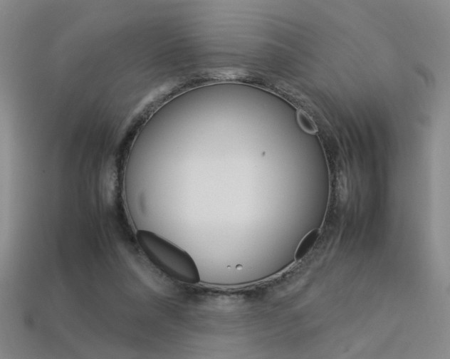 X0000113350304200909151031