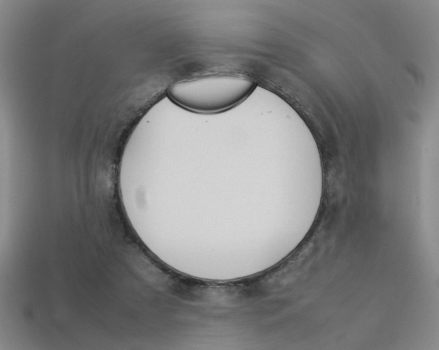 X0000113350305200909151031
