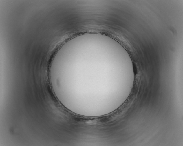 X0000113350306200909151031