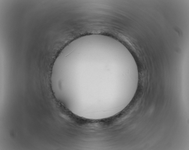 X0000113350307200909151031