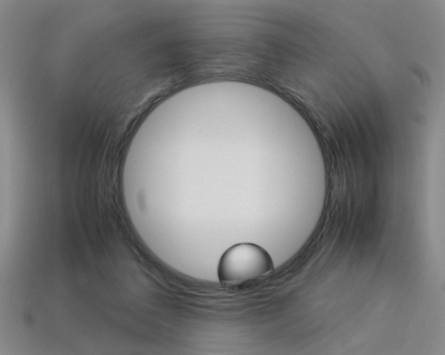 X0000113350308200909151031
