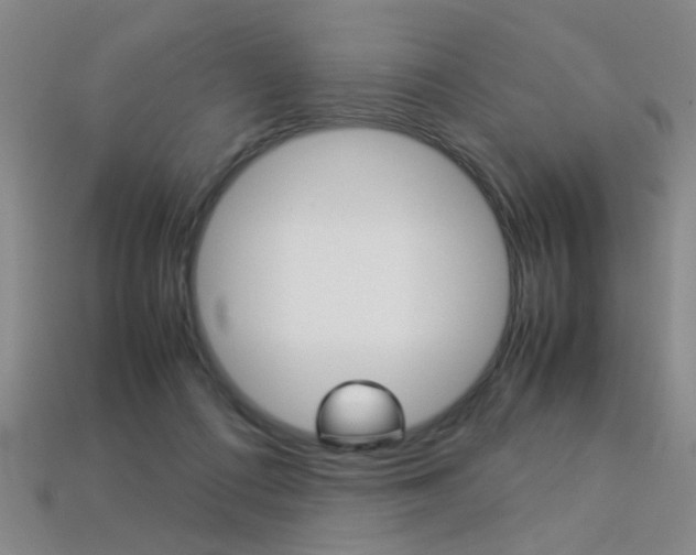 X0000113350312200909151031