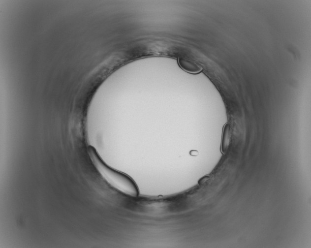 X0000113350313200909151031