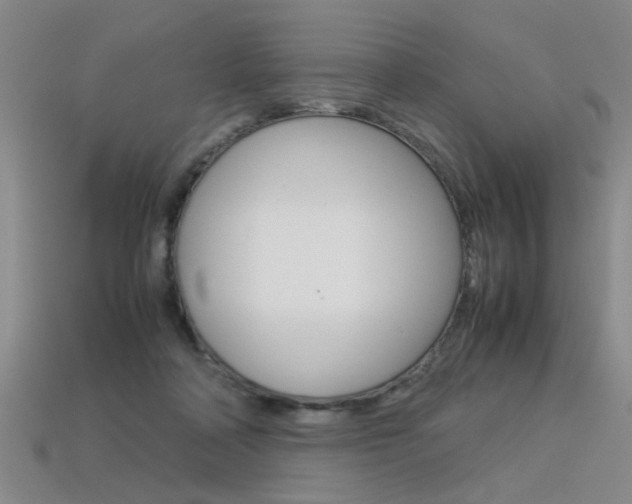 X0000113350314200909151031