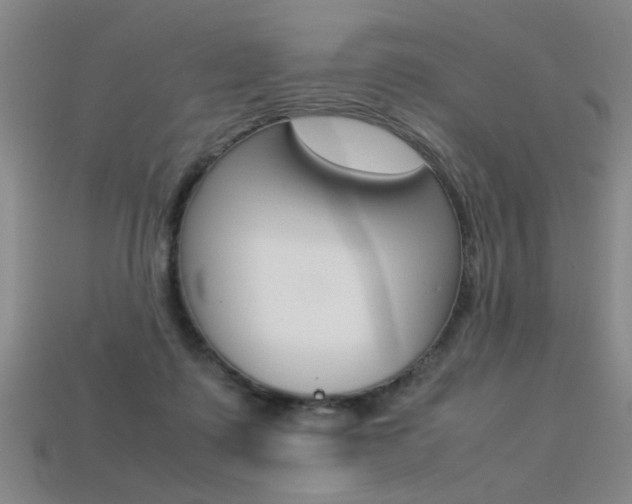 X0000113350315200909151031