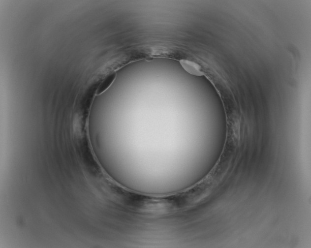 X0000113350316200909151031