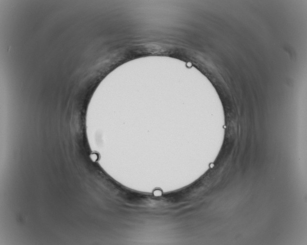 X0000113350317200909151031