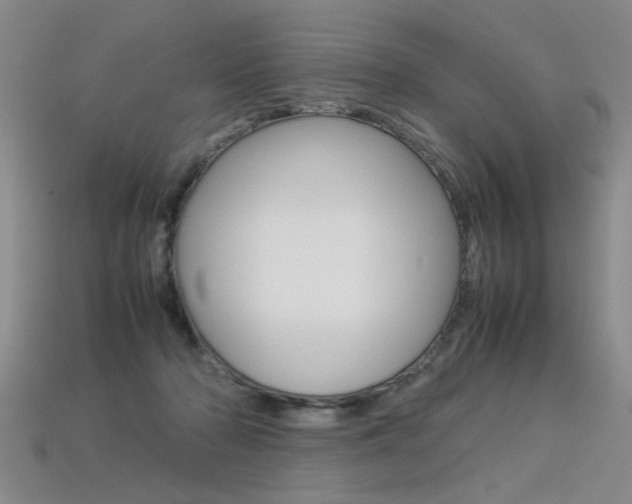 X0000113350318200909151031