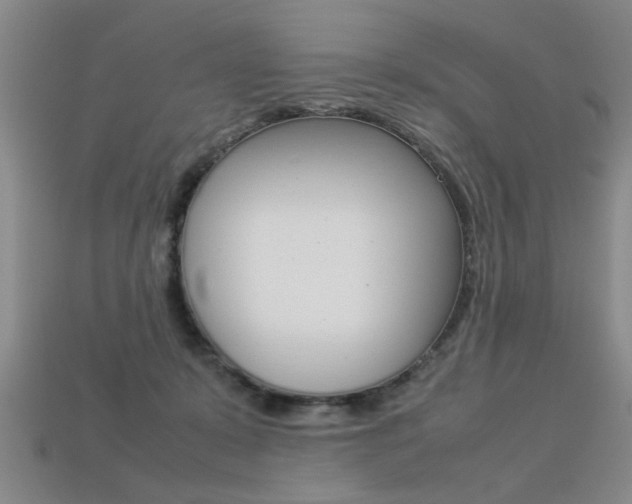 X0000113350319200909151031