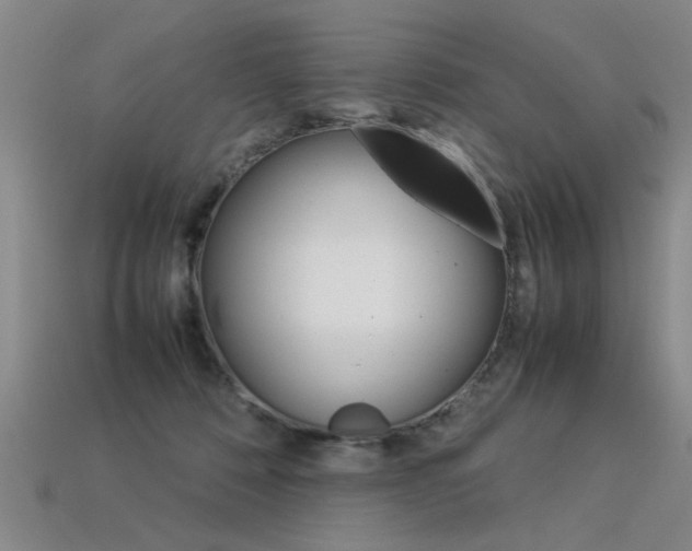 X0000113350320200909151031