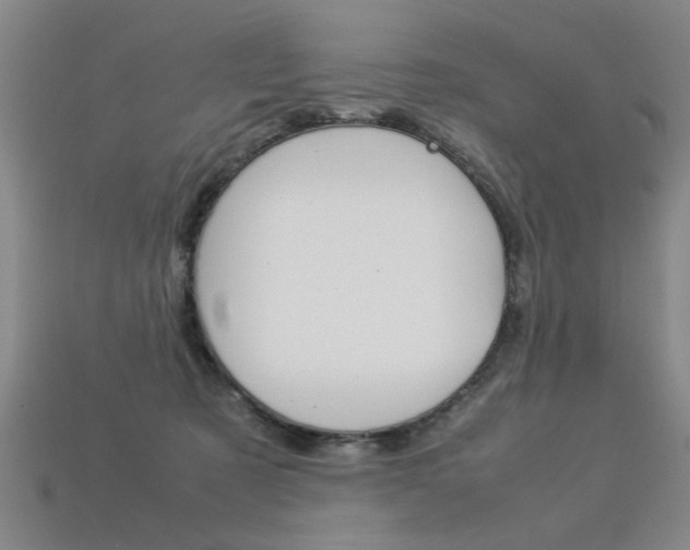 X0000113350321200909151031