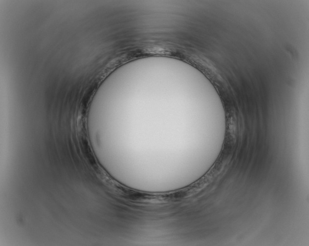 X0000113350322200909151031