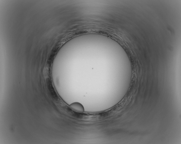 X0000113350323200909151031
