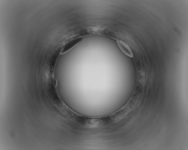 X0000113350324200909151031