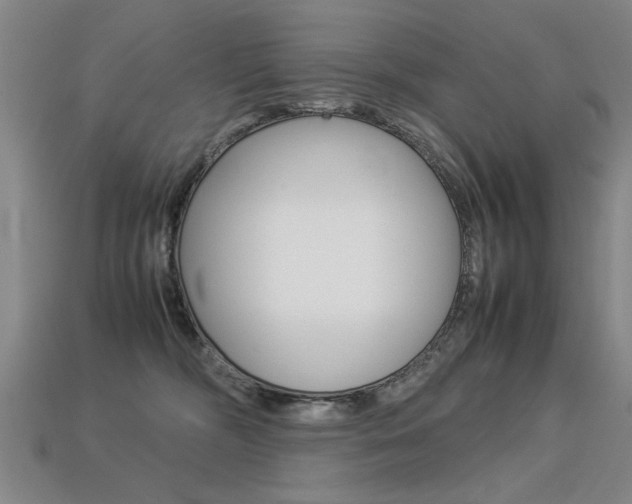 X0000113350326200909151031