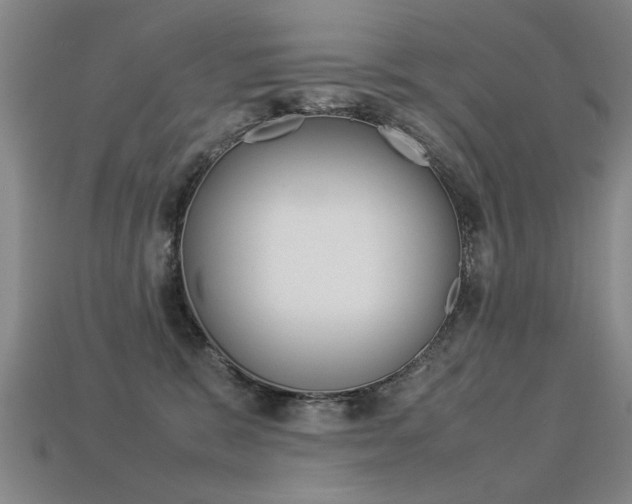 X0000113350327200909151031