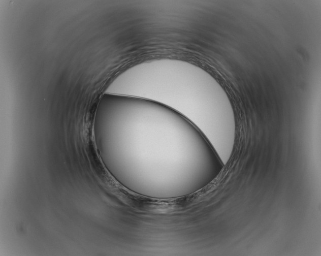 X0000113350328200909151031