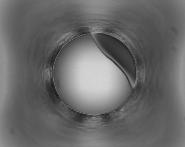 X0000113350329200909151031