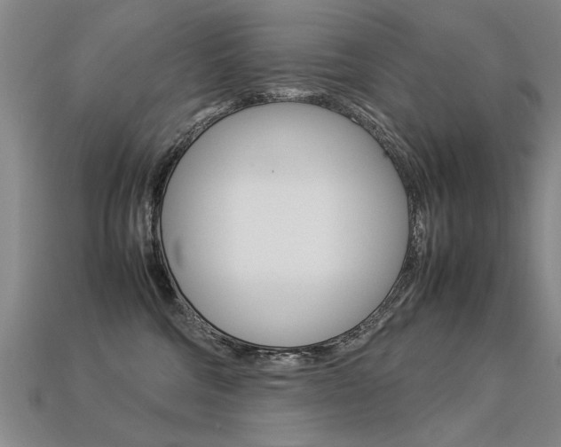 X0000113350330200909151031
