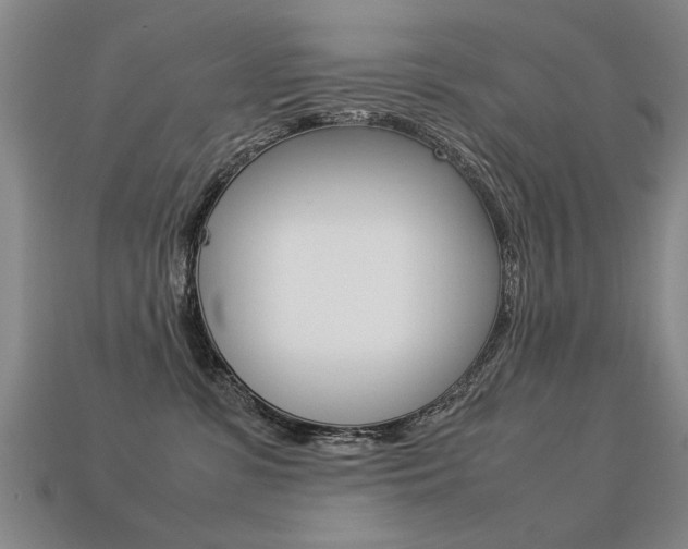 X0000113350331200909151031