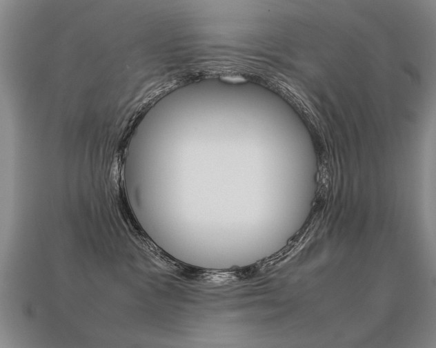 X0000113350333200909151031