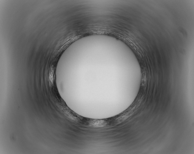 X0000113350334200909151031