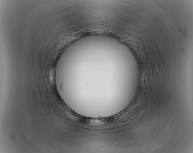 X0000113350335200909151031