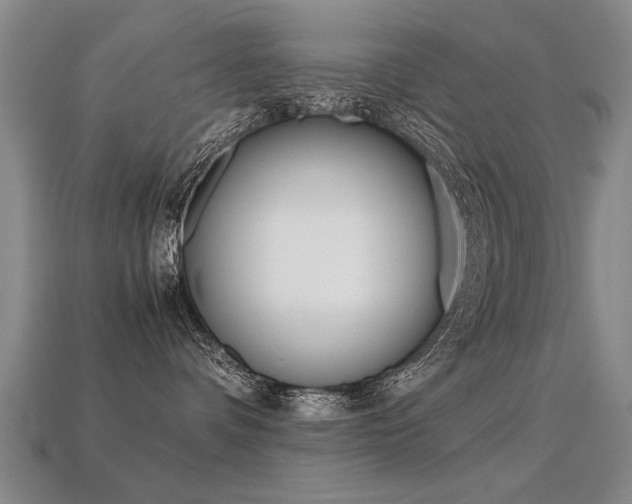 X0000113350336200909151031