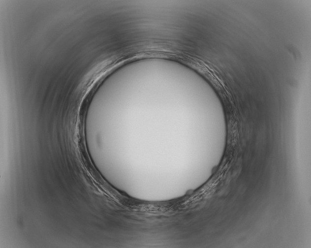 X0000113350338200909151030