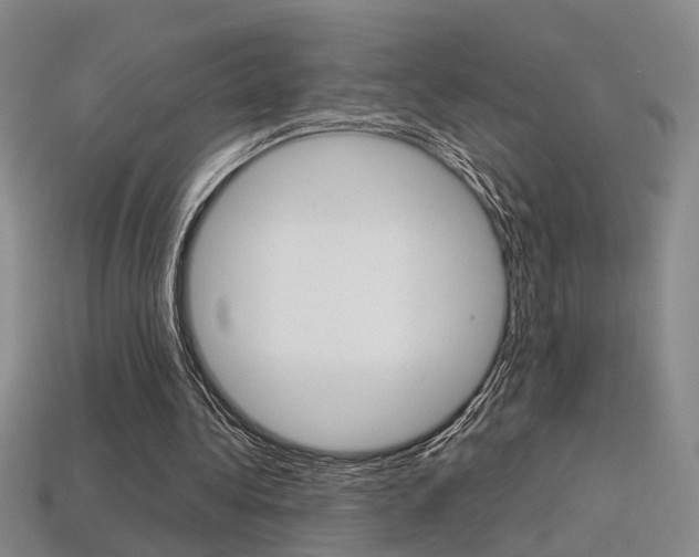 X0000113350340200909151030