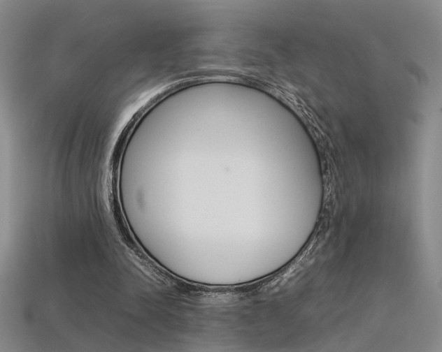 X0000113350342200909151030