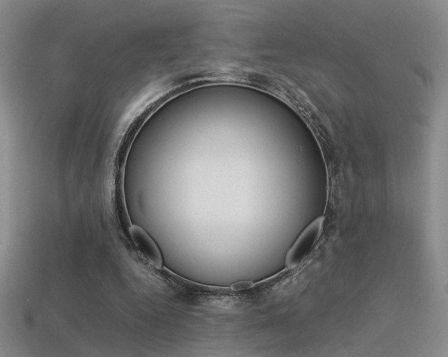 X0000113350344200909151030