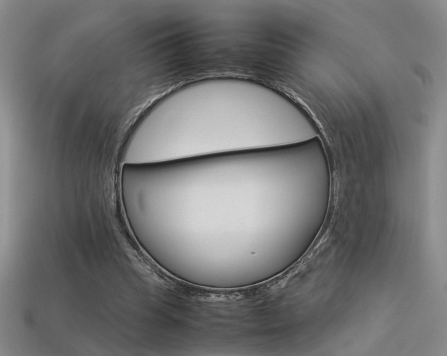 X0000113350345200909151030