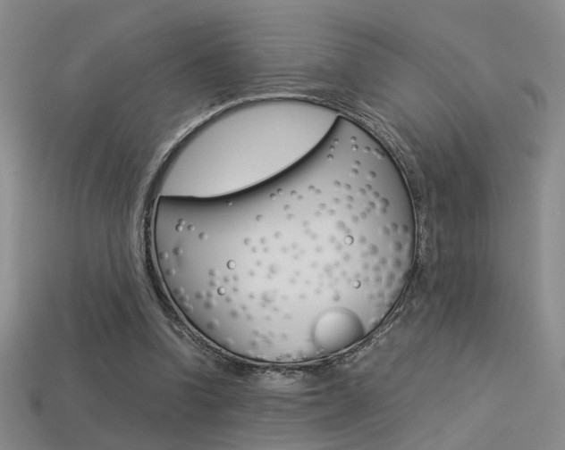 X0000113350346200909151030