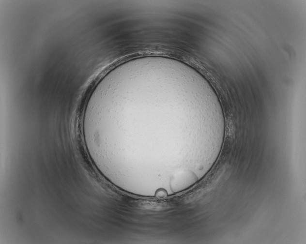X0000113350347200909151030