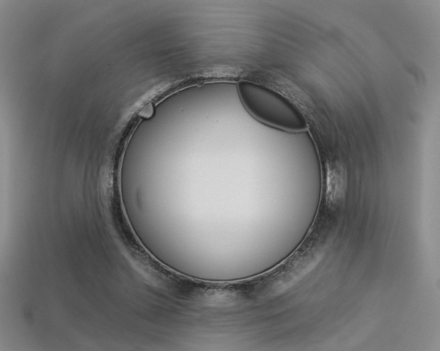 X0000113350348200909151030