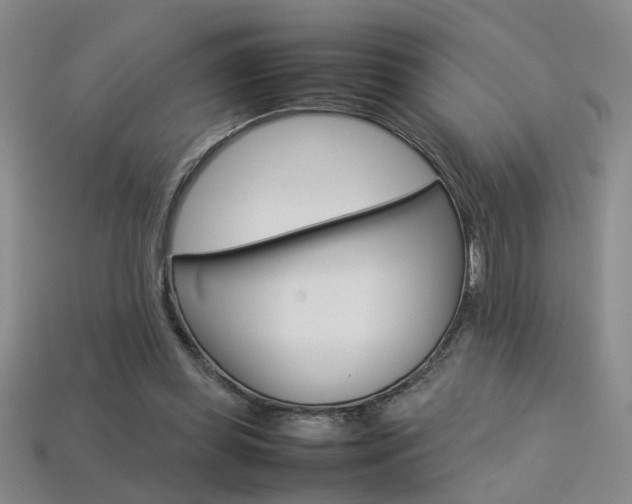 X0000113350349200909151030
