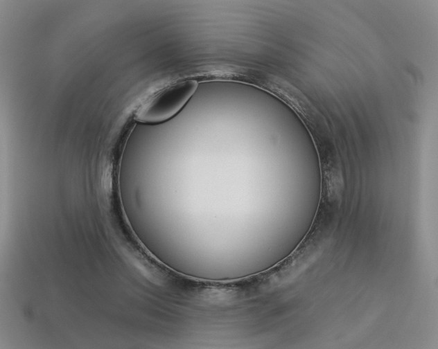 X0000113350350200909151030
