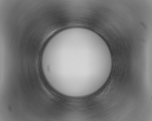 X0000113350352200909151030