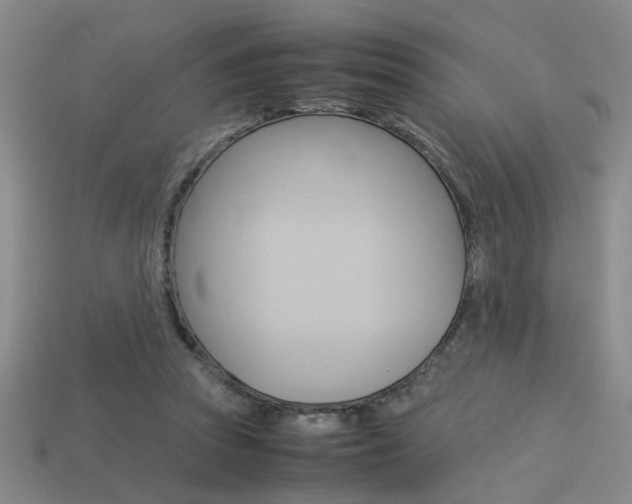 X0000113350353200909151030
