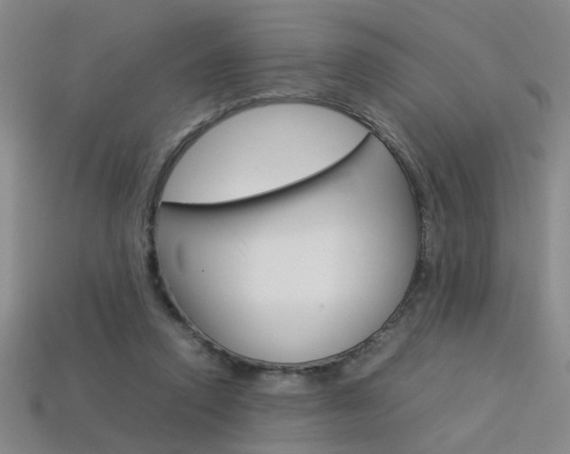 X0000113350354200909151030