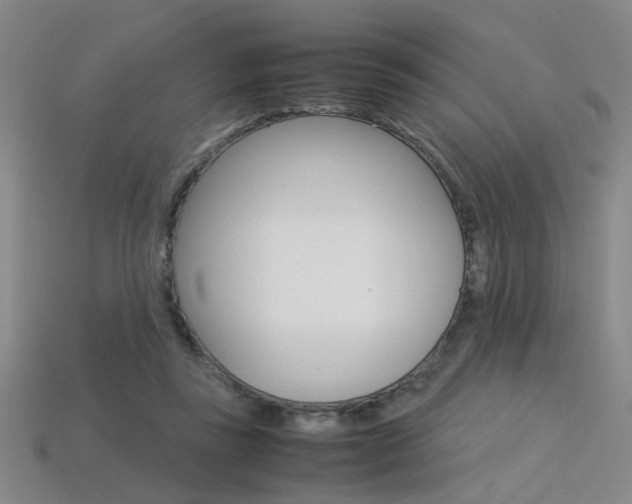 X0000113350355200909151030