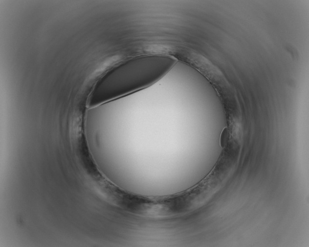 X0000113350356200909151030
