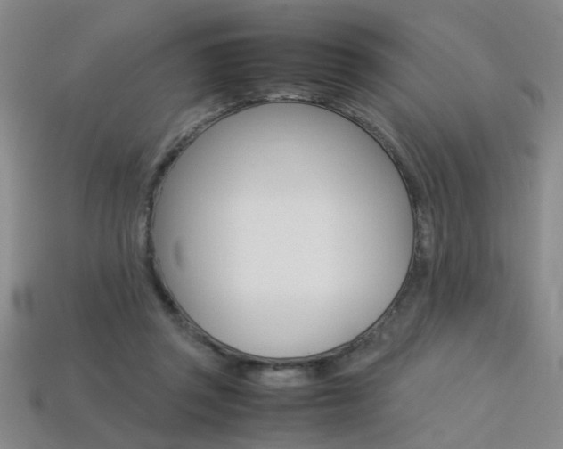 X0000113350357200909151031