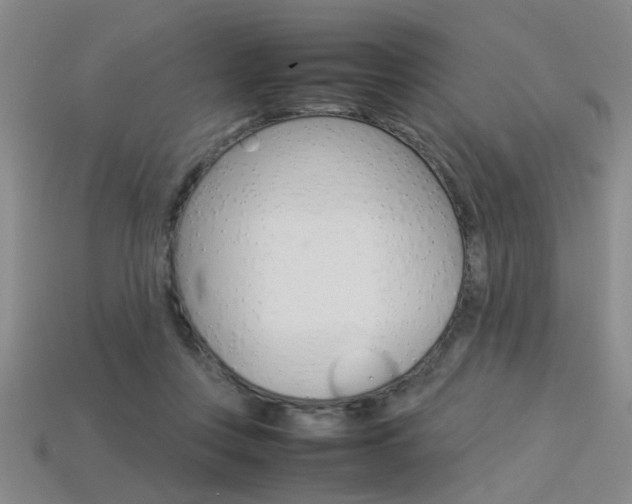 X0000113350359200909151031